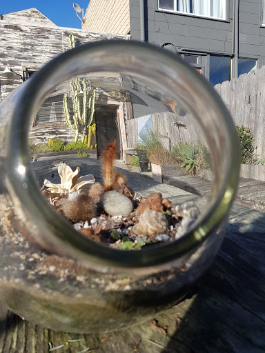 Gift Shop «GENERAL STORE», reviews and photos, 4035 Judah St, San Francisco, CA 94122, USA