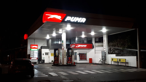 Estación Puma Jorge Mateo