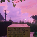 Photo n°4 de l'avis de Annamaria.u fait le 08/09/2019 à 18:45 sur le  L'Oasi Snack-Bar à Pollara