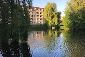 MONTESSORI-VEREIN CHEMNITZ e. V.