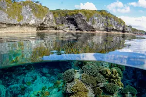 Niue Blue image
