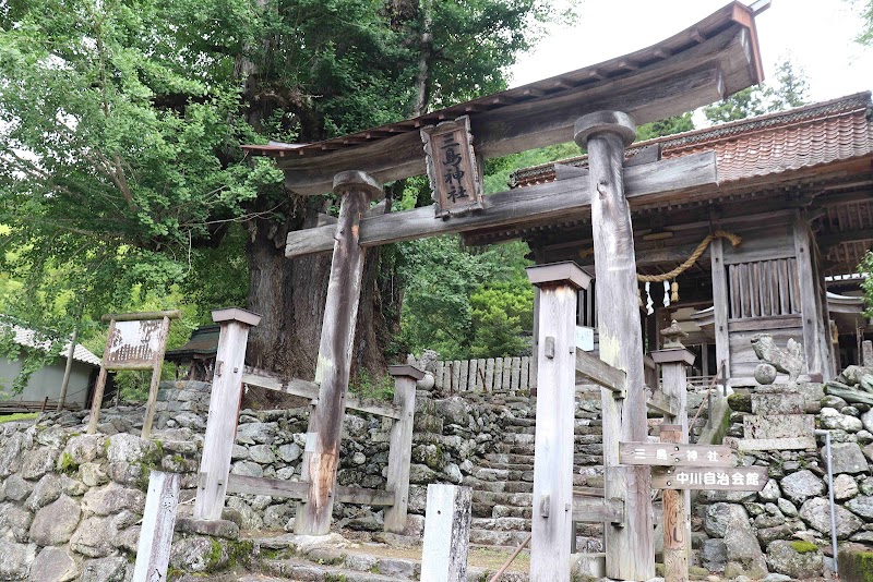 乳出の大イチョウ(三島神社)