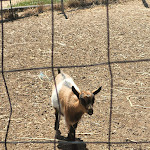 Photo n°6 de l'avis de Karina.O fait le 03/08/2023 à 20:13 sur le  Agriturismo Naturabio à Alghero