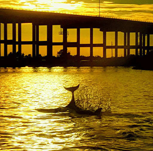 Sightseeing Tour Agency «Treasure Coast Cruises», reviews and photos, 3469 Indian River Dr E, Vero Beach, FL 32963, USA