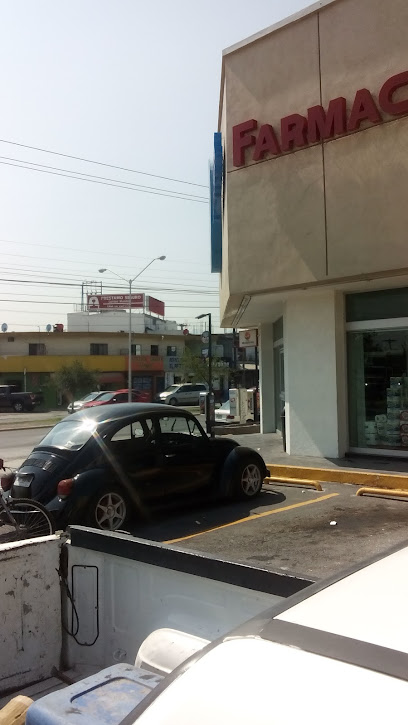 Farmacia Guadalajara, , Guajardo