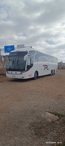 Buses Talca Paris y Londres - Talca