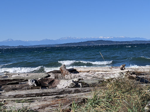 Lowman Beach Park Seattle