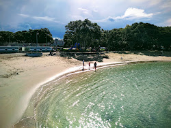 Foto van Devonport Beach met hoog niveau van netheid