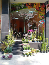 Бутик за цветя и подаръци "Флория Парк" - цветарски магазин
