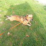 Photo n°3 de l'avis de Sandra.u fait le 08/04/2024 à 14:58 sur le  Landgasthof Kollerhof à Neunburg vorm Wald