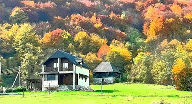 Holiday Home Drijenak