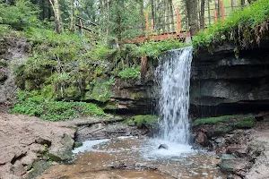 Amselfall (Wasserfall) image