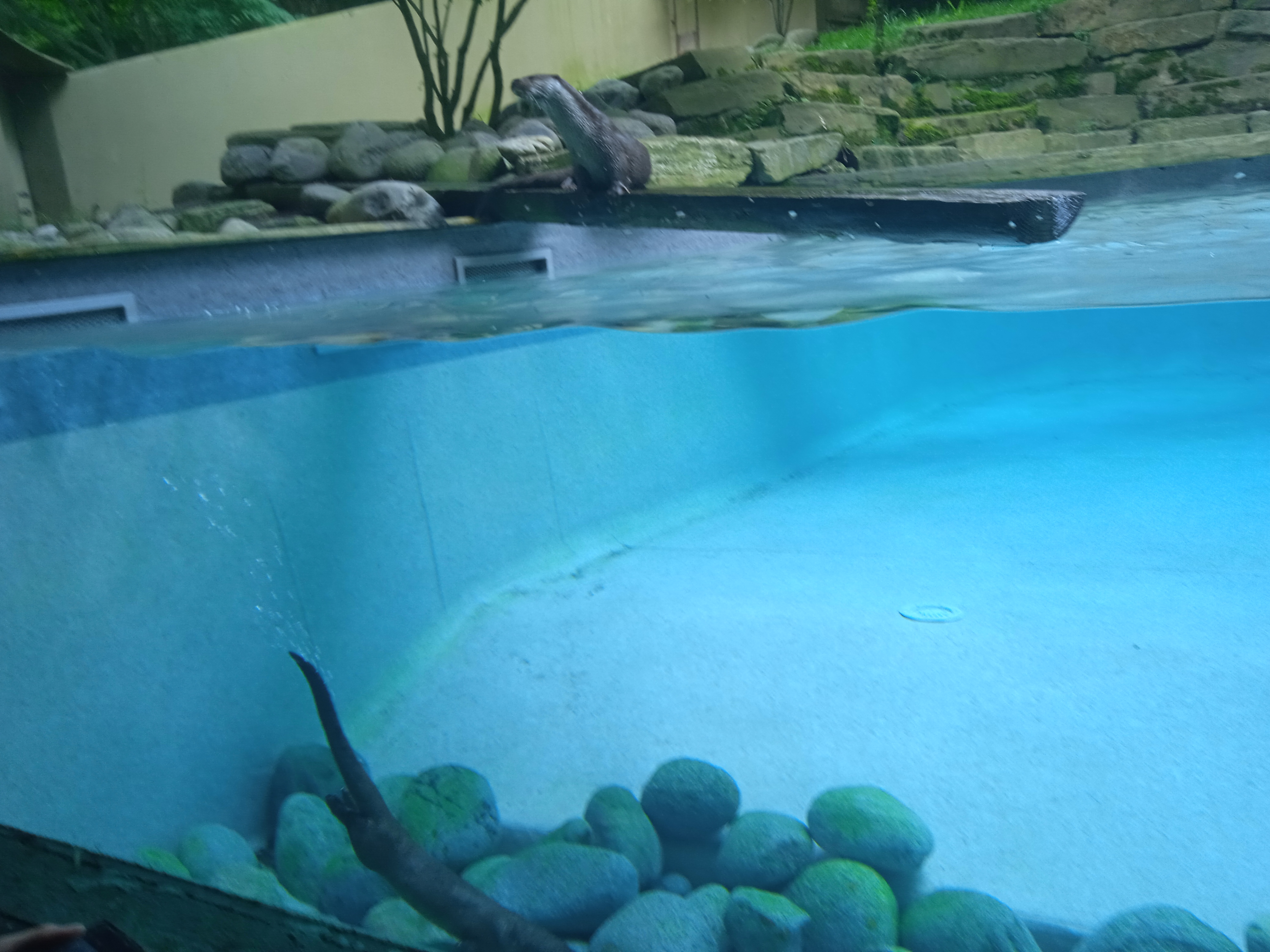 Photo n° 19 de l'avis de Gamer.p fait le 04/06/2022 à 18:21