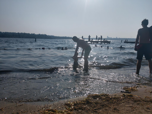 Park «Chism Beach Park», reviews and photos, 9600 SE 11th St, Bellevue, WA 98004, USA