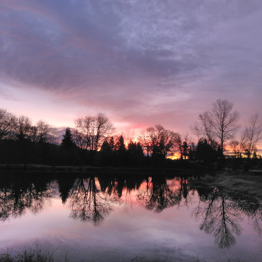 Public Golf Course «RiverRidge Golf Complex», reviews and photos, 3800 N Delta Hwy, Eugene, OR 97408, USA