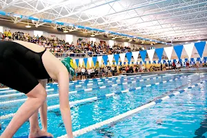 Collegiate School Aquatic Center image
