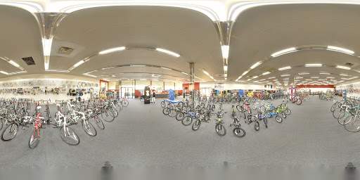 Bluebonnet Bicycles, 1952 Justin Rd, Highland Village, TX 75077, USA, 