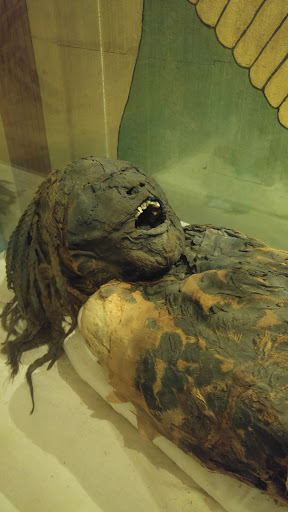 Museum «Museum of World Treasures», reviews and photos, 835 E 1st St N, Wichita, KS 67202, USA