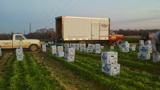 State Park «Parvin State Park», reviews and photos, 701 Almond Rd, Pittsgrove Township, NJ 08318, USA