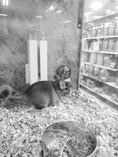 Pet Supply Store «PetSmart», reviews and photos, 225 Robert C Daniel Jr Pkwy, Augusta, GA 30909, USA