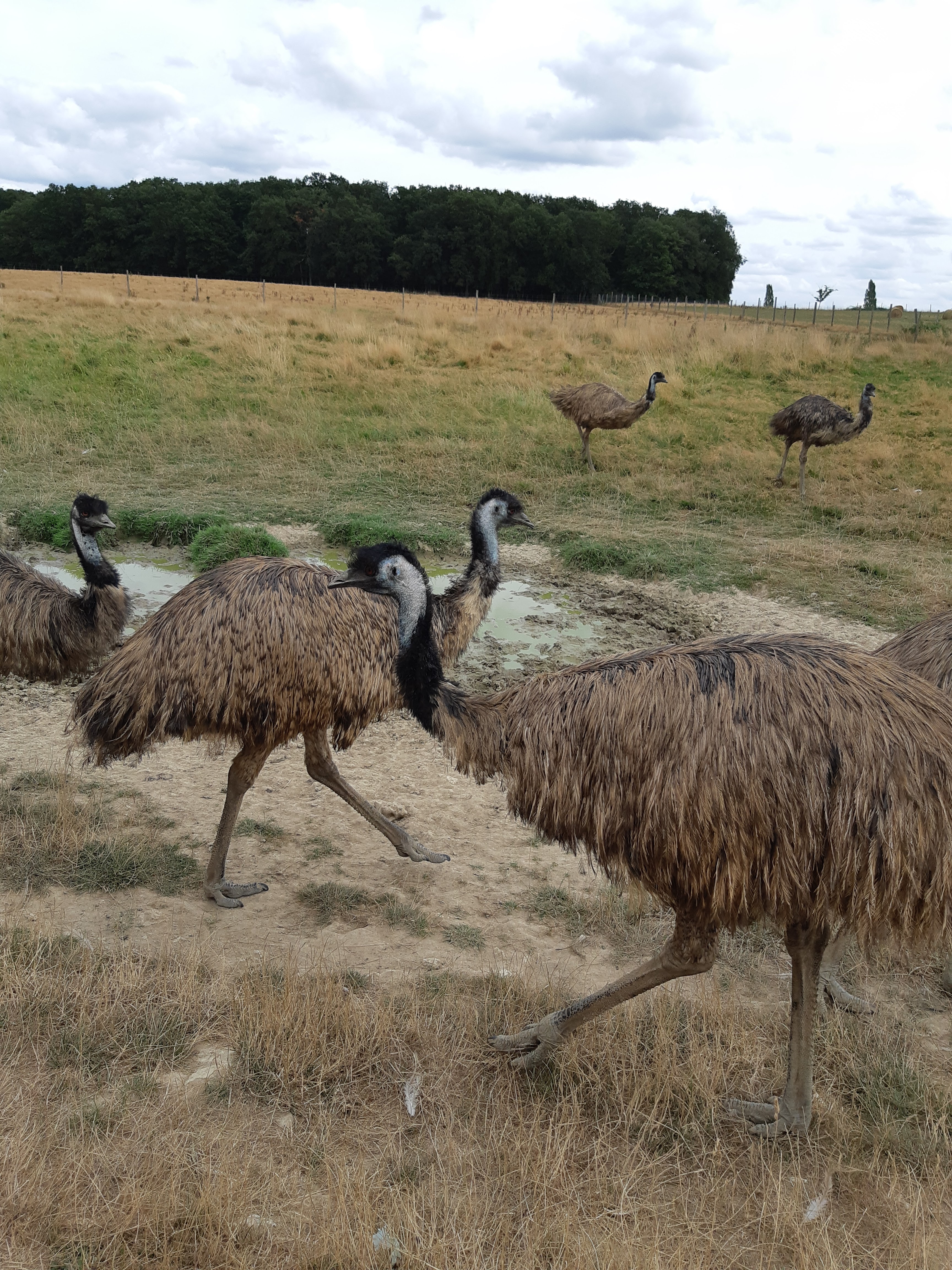 Photo n° 37 de l'avis de Carla.a fait le 10/08/2018 à 15:54