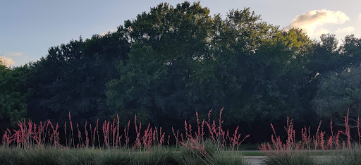 Water Park «Paradise Springs Aquatic Park», reviews and photos, 1501 Gaylord Trail, Grapevine, TX 76051, USA