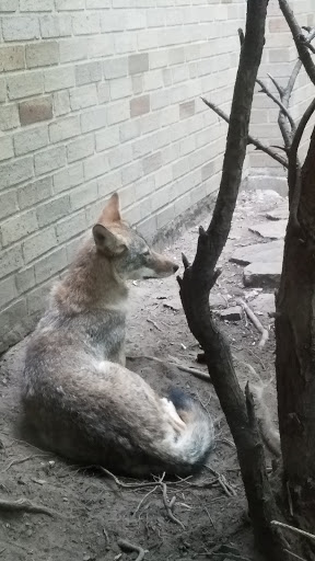 Natural History Museum «Cleveland Museum of Natural History», reviews and photos, 1 Wade Oval Dr, Cleveland, OH 44106, USA