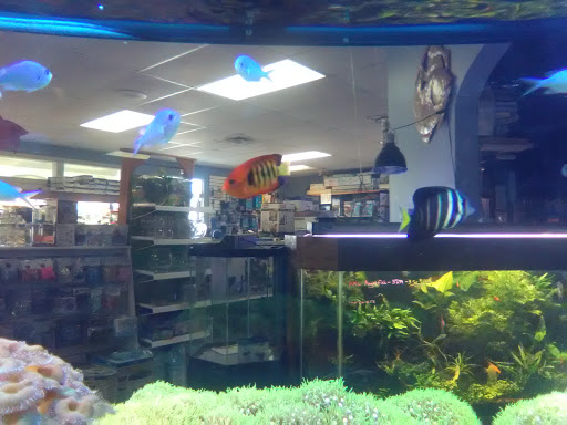 Pet Store «Claremont Pet & Aquarium Center», reviews and photos, 201 Washington St, Claremont, NH 03743, USA