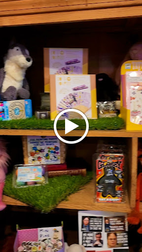 Toy Store «Why Not Toys», reviews and photos, 319 Gentry St, Spring, TX 77373, USA