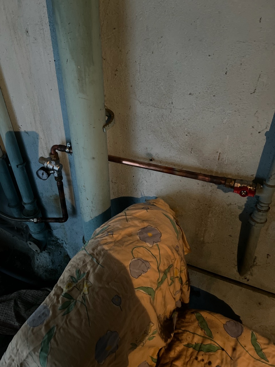 Photo n° 1 de l'avis de Carole.a fait le 19/01/2023 à 17:43