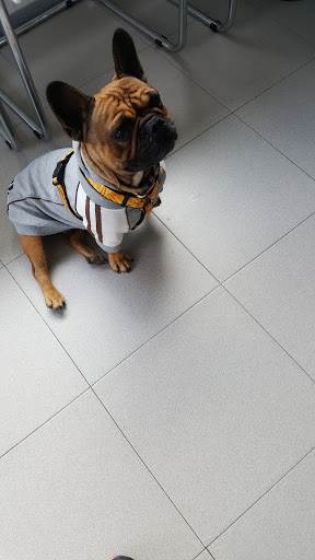 Atlantic Centro Veterinario en Cartaya