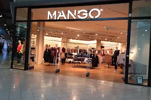 Mango image