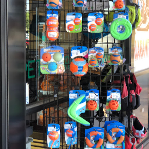 Pet Store «Choice Pet Market», reviews and photos, 2915 W Ray Rd, Chandler, AZ 85224, USA