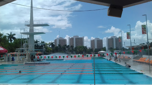 Book Store «University of Miami Bookstore», reviews and photos, 1306 Stanford Dr, Coral Gables, FL 33146, USA