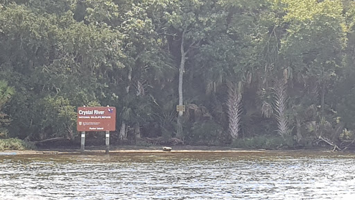 Tour Agency «River Ventures», reviews and photos, 498 SE Kings Bay Dr, Crystal River, FL 34429, USA