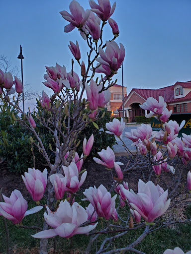 Park «Gough Park», reviews and photos, 9300 Honeygo Blvd, Perry Hall, MD 21128, USA