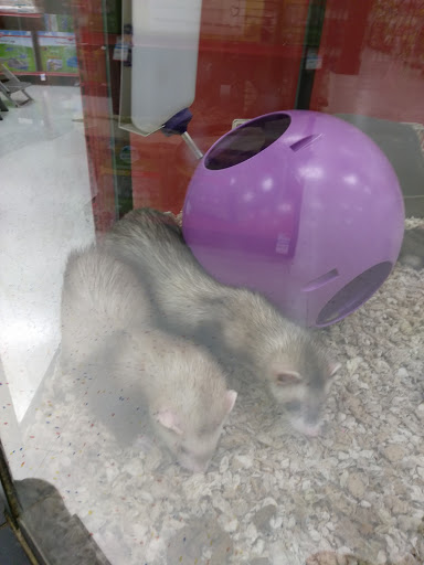Pet Supply Store «Petco Animal Supplies», reviews and photos, 51 Middlesex Turnpike, Burlington, MA 01803, USA