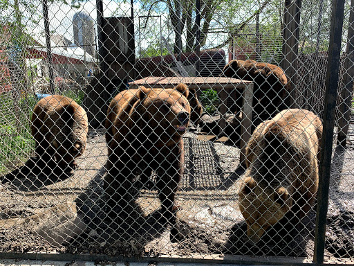 Zoo «Cricket Hollow Zoo», reviews and photos, 1512 210th St, Manchester, IA 52057, USA