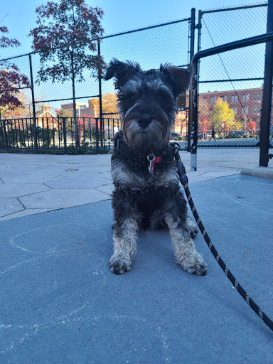 Park «Travers Park», reviews and photos, 76-9 34th Ave, Jackson Heights, NY 11372, USA