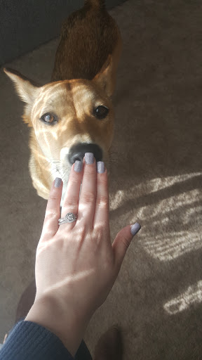 Nail Salon «Pick A Color Nail Salon», reviews and photos, 40 Wrightstown Cookstown Rd, Cookstown, NJ 08511, USA