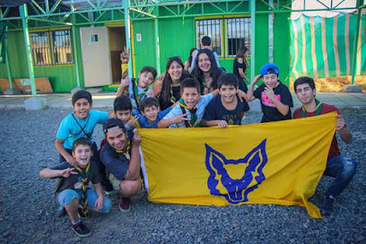 Grupo Guías Y Scout San Agustín De Talca