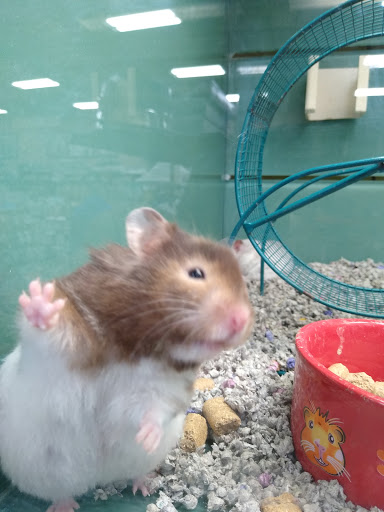 Pet Supply Store «Pet Valu», reviews and photos, 3201 Dayton Xenia Rd, Beavercreek, OH 45434, USA