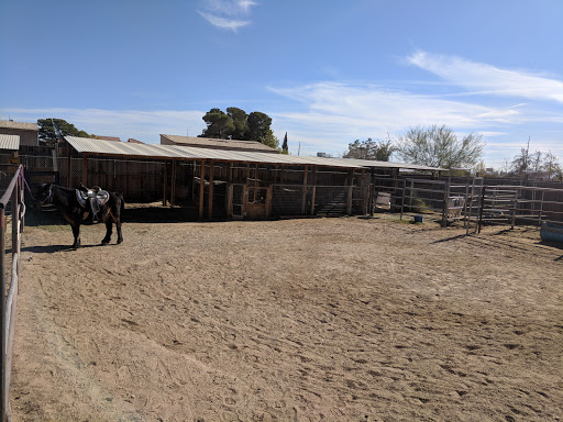 Zoo «Jr Pony Parties», reviews and photos, 1744 N Leonard Ln, Las Vegas, NV 89108, USA