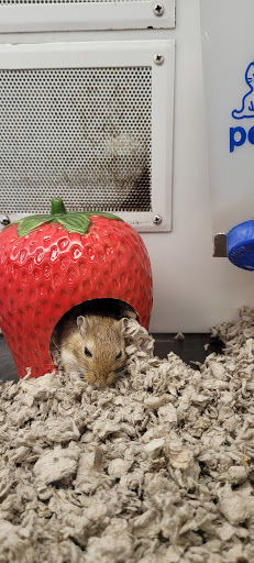 Pet Supply Store «Petco Animal Supplies», reviews and photos, 17200 Southcenter Pkwy #100, Tukwila, WA 98188, USA