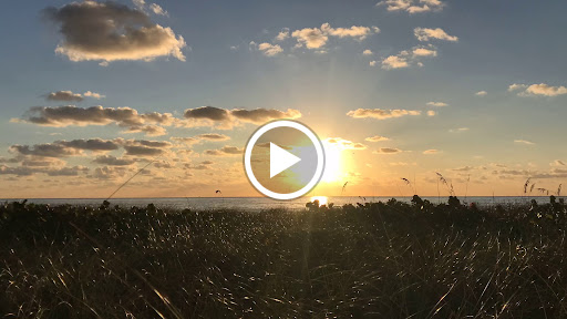 Luxury Hotel «Four Seasons Hotel at The Surf Club, Surfside, Florida», reviews and photos, 9101 Collins Ave, Surfside, FL 33154, USA