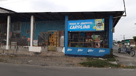 Tienda Carolina