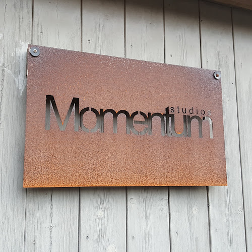 Momentum Studios