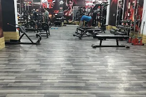 WTF Exclusive Gym : Alpha Fitness Gym image