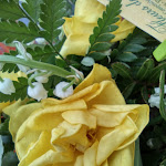 Photo n° 3 de l'avis de Valérie.u fait le 01/05/2024 à 16:42 pour Fleurs de Salm à Senones