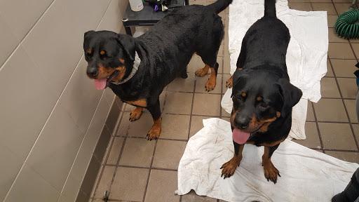 Pet Supply Store «Pet Supplies Plus», reviews and photos, 126 E Main St, Smithtown, NY 11787, USA